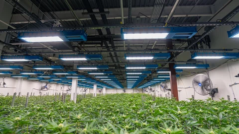 Summit indoor cultivation room
