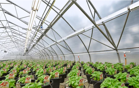 Weber Greenhouse