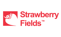 Strawberry Fields