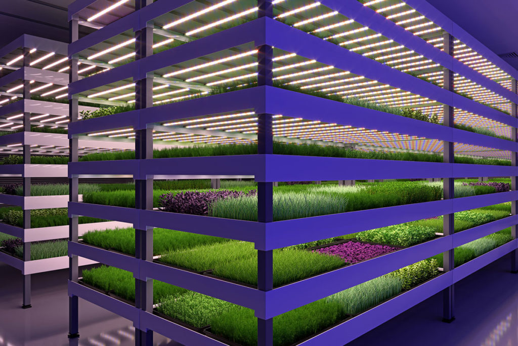Vertical farming racks with LED lighting