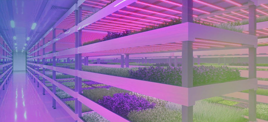 Vertical farming racks with LED lighting