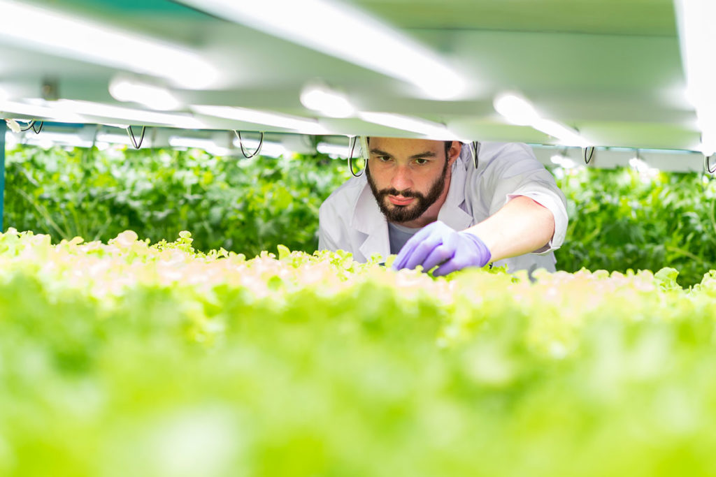 Man tending to a vertical farm illuminated with LED grow lights