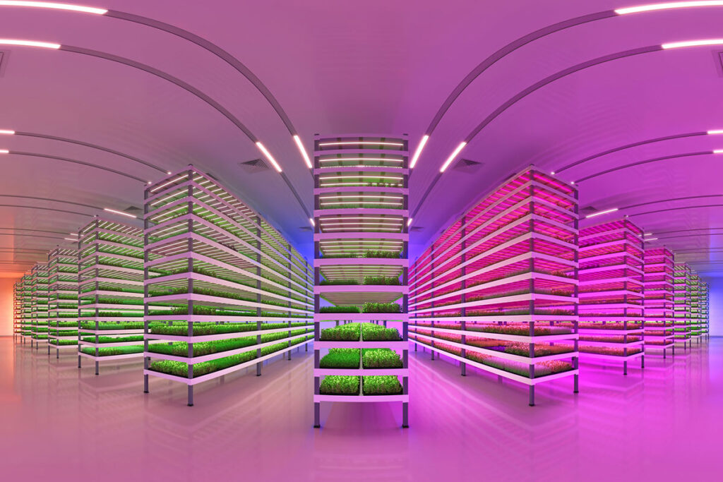 Wide angle photo of vertical farm