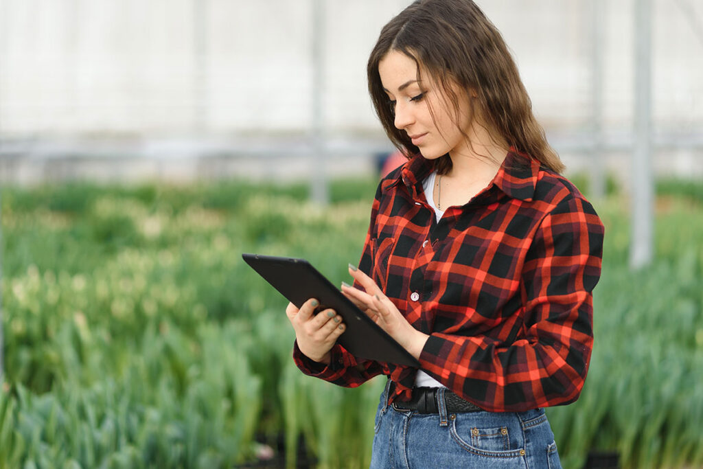 Indoor farmer reviewing data on a laptop