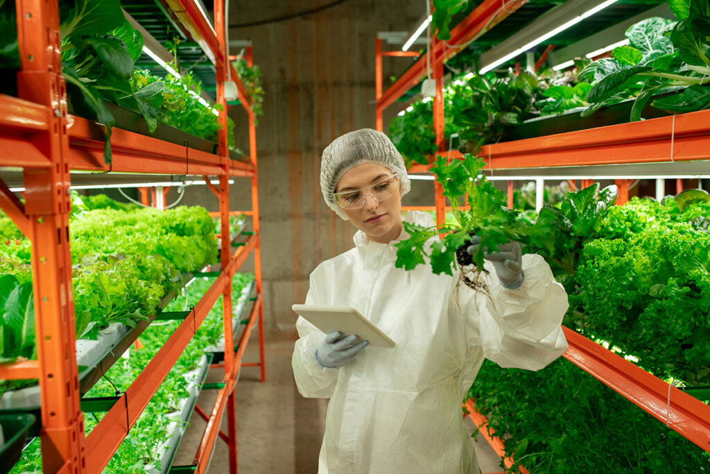Woman inspecting product in a vertical farm