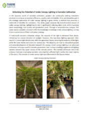 White Paper: Unlocking the Potential of Under Canopy Lighting in Cannabis Cultivation
